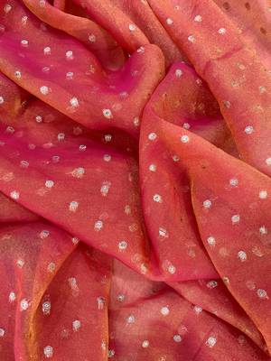 Peach Color Jari Woven Butti Work Moss Silk Saree 5
