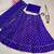 Blue Printed Stripes Print Designer Free Size Lehenga Choli Set