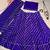Blue Printed Stripes Print Designer Free Size Lehenga Choli Set