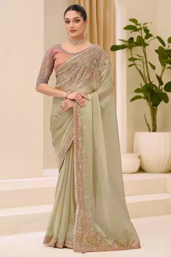 Sunsilk tissue saree with brocade zari work blouse
