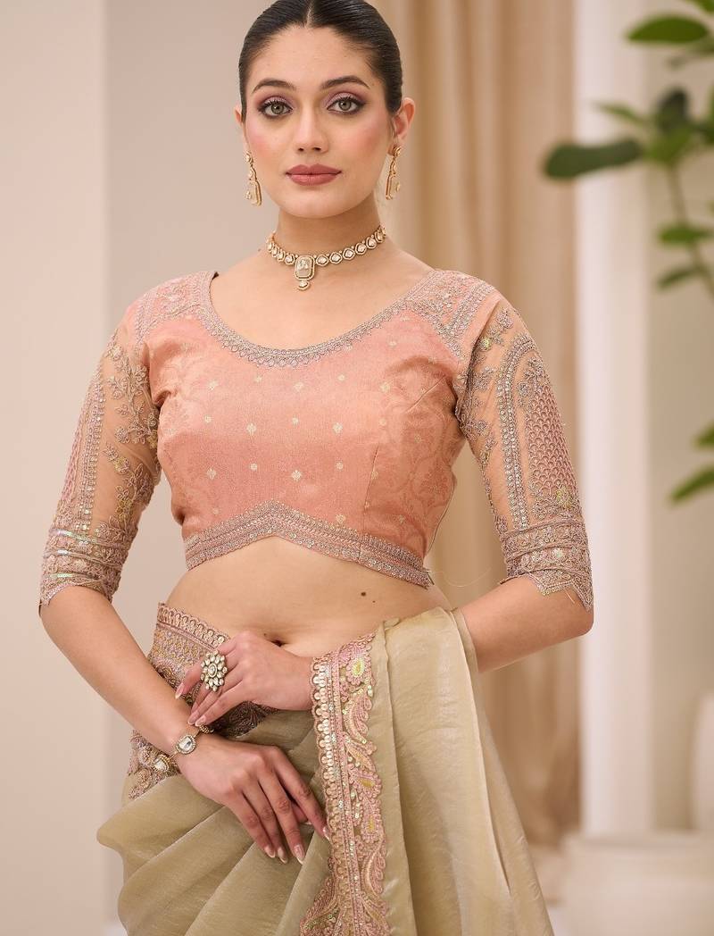 Sunsilk tissue saree with brocade zari work blouse