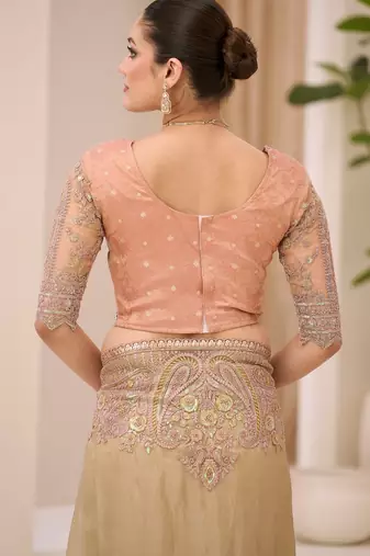Sunsilk blend tissue saree with brocade zari work blouse