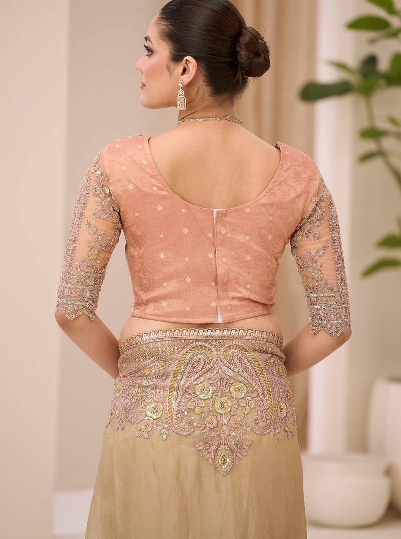 Sunsilk tissue saree with brocade zari work blouse