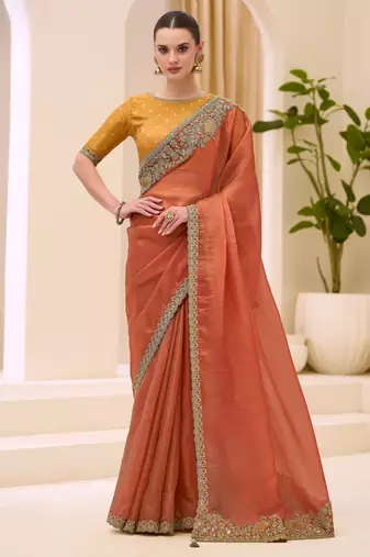 Dual shade silk saree with brocade work blouse