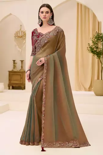 Dual shade georgette tissue saree with georgette work blouse
