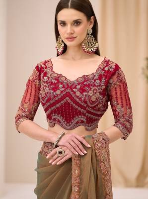Dual shade georgette tissue saree with georgette work blouse 2