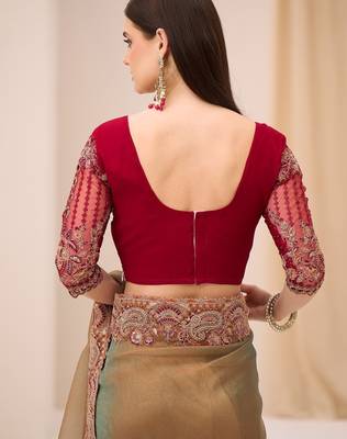 Dual shade georgette tissue saree with georgette work blouse 3