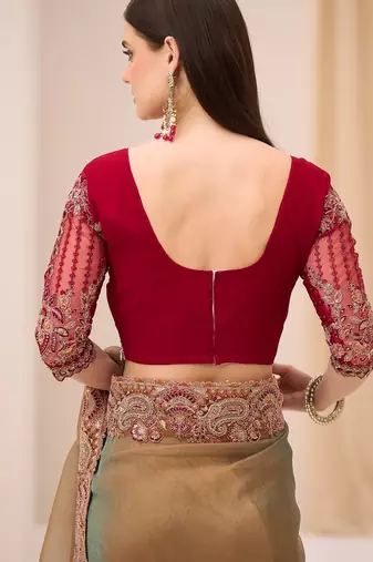 Dual shade georgette tissue saree with georgette work blouse