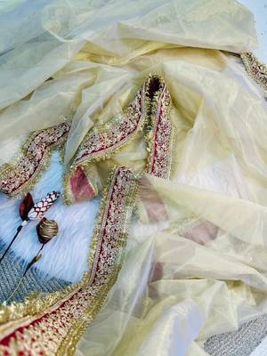 Cream Color Sequance and Dori Embroidery work Soft Twil net  Saree 5