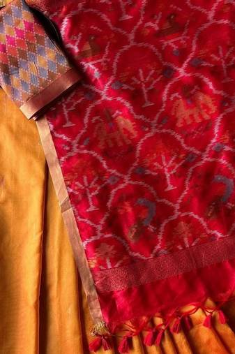 Orange Green Color Patola pallu pure silk Saree