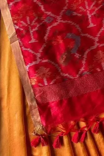 Orange Green Color Patola pallu pure art silk saree