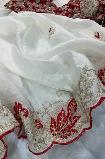 White Color  Embroidery Work and Coding weaving Tissue Silk Saree
