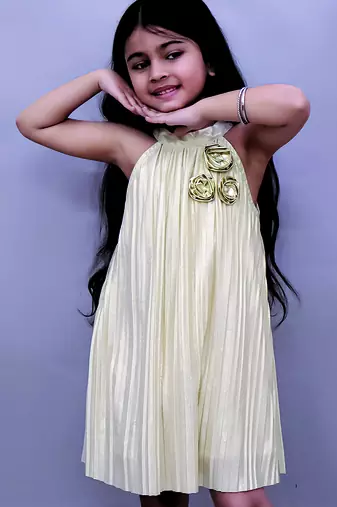 Golden embroidered polycotton dress