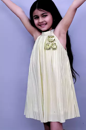 Golden embroidered polycotton dress