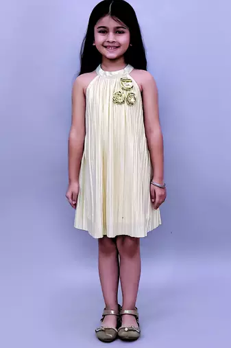 Golden embroidered polycotton dress