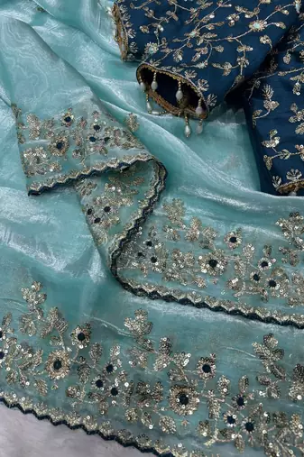 Blue Color Sequence embroidery work Organza Saree