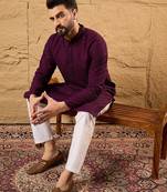 Men purple viscose rayon solid embroidered straight kurta