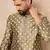 Men olive silk ikat printed straight kurta