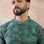 Men green silk blend printed mandarin collar straight kurta