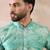 Men green silk blend printed mandarin collar straight kurta