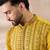 Men yellow silk blend embroidered mandarin collar straight kurta