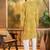 Men yellow viscose rayon shibori embroidered straight kurta
