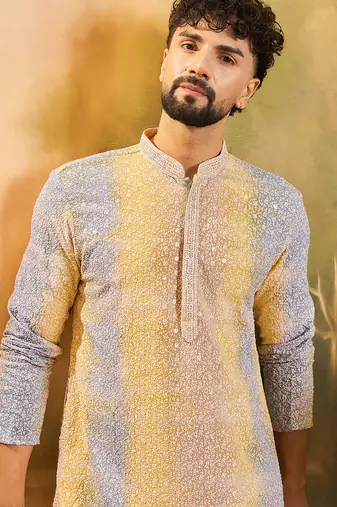 Men multi viscose rayon solid embroidered straight kurta