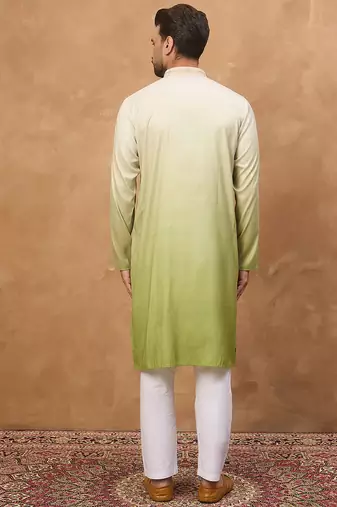 Men green silk blend solid embroidered straight kurta