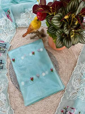 Sky Blue Color Thread Embroidery Work Crystel Organza Saree 5
