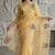 Yellow Color Thread Embroidery Work Crystel Organza Saree