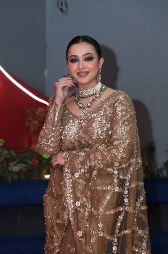 Chiku Color Sequins and Zari Embroidery Work Net Saree