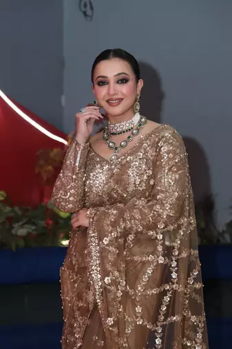 Chiku Color Sequins and Zari Embroidery Work Net Saree