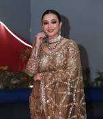 Chiku Color Sequins and Zari Embroidery Work Net Saree