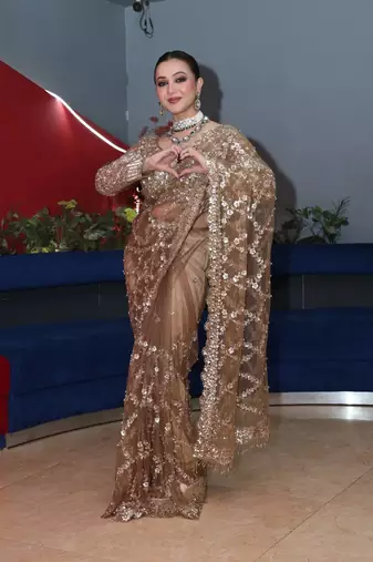 Chiku Color Sequins and Zari Embroidery Work Net Saree