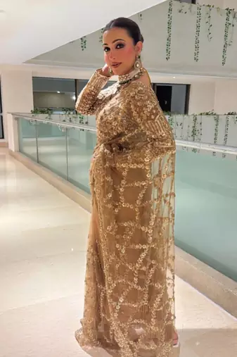 Chiku Color Sequins and Zari Embroidery Work Net Saree