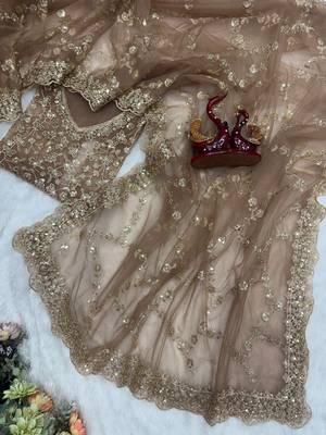 Chiku Color Sequins and Zari Embroidery Work Net Saree 4