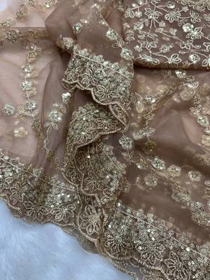 Chiku Color Sequins and Zari Embroidery Work Net Saree 5