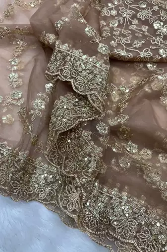 Chiku Color Sequins and Zari Embroidery Work Net Saree