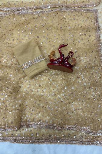 Beige Color Sequins and Beads Embroidery Work Net Saree