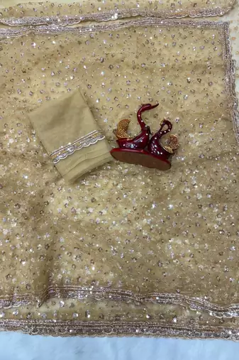 Beige Color Sequins and Beads Embroidery Work Net Saree