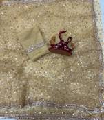 Beige Color Sequins and Beads Embroidery Work Net Saree