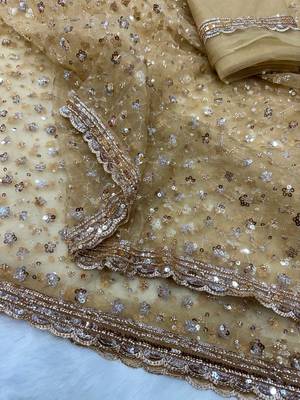 Beige Color Sequins and Beads Embroidery Work Net Saree 2
