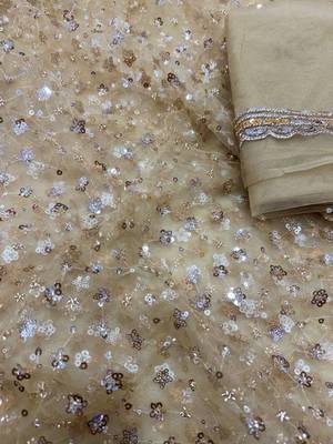 Beige Color Sequins and Beads Embroidery Work Net Saree 3