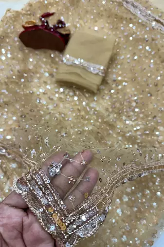 Beige Color Sequins and Beads Embroidery Work Net Saree