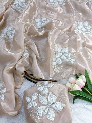 Cream Color embroidery sequence work Organza Saree 2