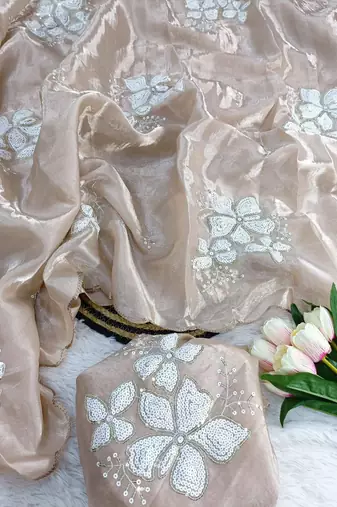 Cream Color embroidery sequence work Organza Saree