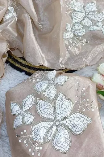 Cream Color embroidery sequence work Organza Saree