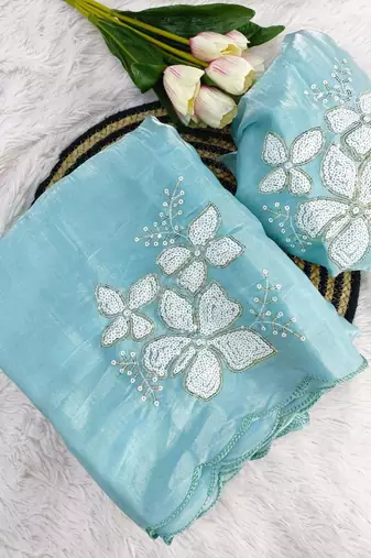 Sky-Blue Color embroidery sequence work Organza Saree
