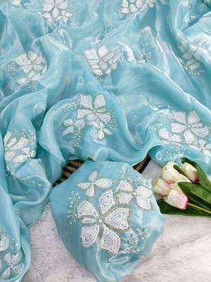 Sky-Blue Color embroidery sequence work Organza Saree 2