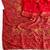 Red Color Kashmiri Thread Zari Woven Work Pashmina Dola Silk Saree